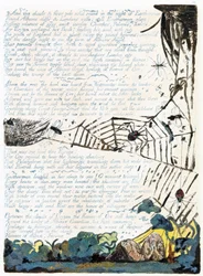 Illustration aus 